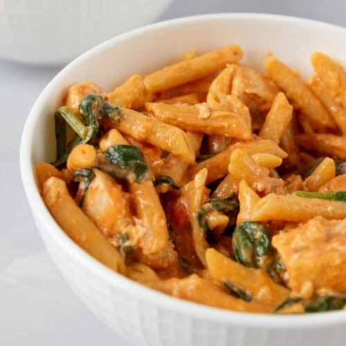 One Pot Creamy Boursin Tomato Pasta with Chicken
