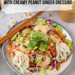 A cream and blue shallow pottery bowl full of spring roll salad, topped with lime wedges and cilantro. Chop sticks rest on the rim of the bowl and a grey napkin is beside it. Chopped peanuts are scattered on the countertop, a jar of dressing, and a large wooden bowl full of salad sit at the edge of the frame. Graphics on top of the photo.