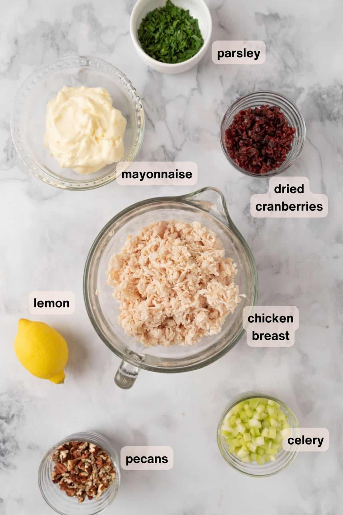 Ingredients for a cranberry pecan chicken salad in various bowls and dishes, placed around a white marble countertop.